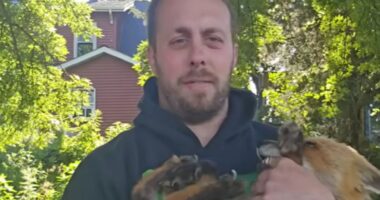 YouTuber Mikayla Raines’ husband fights back tears as he shares unseen family moments weeks after her sudden death