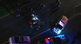 Emergency services rushed to Bunya Road in Sydney's west after reports a female officer was injured during what was believed to be a welfare check