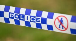 A young girl, aged seven, died after being hit by a falling palm tree in north Darwin on Saturday