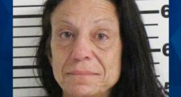 ‘I Want That Baby’: Random Woman Breaks Into Home to Steal Infant From Family