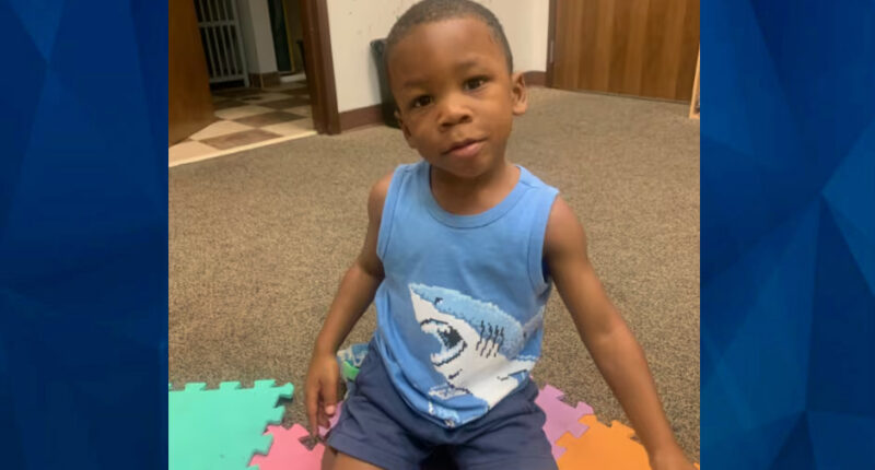 ‘This baby died in a car’: Child Services Worker Admits to Leaving Tot Inside Hot Car for 5 Hours, Following Visitation with Dad