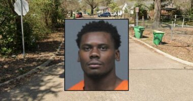 'Cut his motherf—ing hand off': Teen laughed about mutilating victim's face with sword — then pointed the finger at a 'dog,' police sa