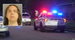 'I don't want to end up on Death Row': Son who bludgeoned mother with hammer and asked gaming friend for help faces murder charge, police say