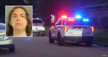 'I don't want to end up on Death Row': Son who bludgeoned mother with hammer and asked gaming friend for help faces murder charge, police say