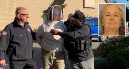 'Oh, you're allergic? Good': Woman unleashed hives of bees on deputies and bystanders because she was angry about an eviction, authorities say