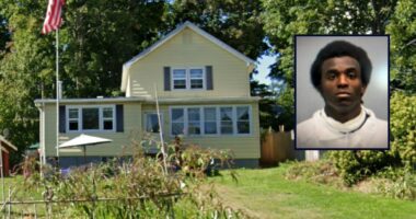 'Several cutting utensils': Son murdered mother, chopped up body and stuffed remains in over a dozen trash bags in a closet inside her home, cops say