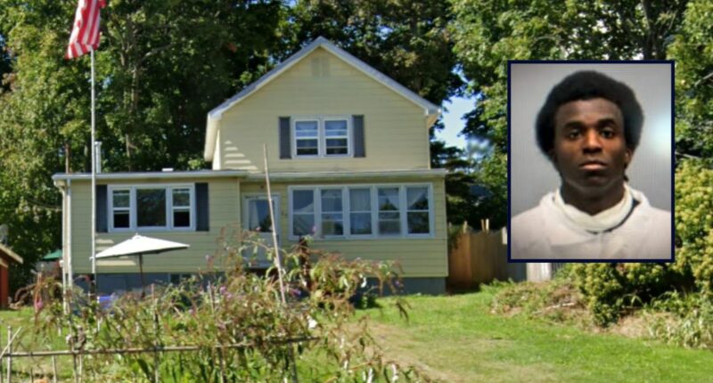 'Several cutting utensils': Son murdered mother, chopped up body and stuffed remains in over a dozen trash bags in a closet inside her home, cops say
