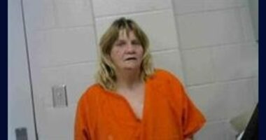 'Stretching from Florida to Texas': Florida woman arrested for multi-state string of thefts targeting retailers like Dillard's and Home Depot, police say
