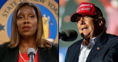 'Usurping a core state police power': Trump admin 'improperly weaponized' federal laws to attack transgender youth and 'lifesaving' medical providers, states say