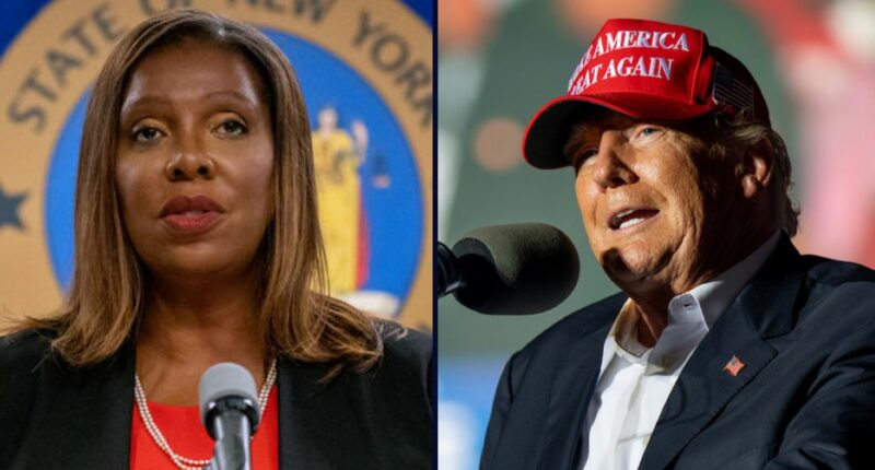 'Usurping a core state police power': Trump admin 'improperly weaponized' federal laws to attack transgender youth and 'lifesaving' medical providers, states say