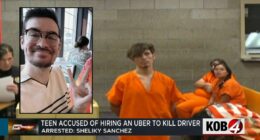'Wanted to let some steam off': Teen said executing random Uber driver felt like 'taking an in and out breath,' police say