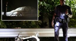 2 moped riders killed by Mercedes on Bronx River Parkway: cops