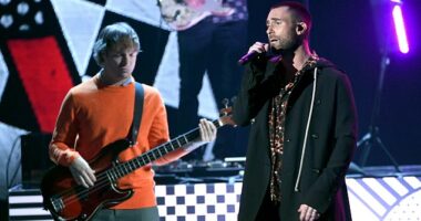 Musician Mickey Madden (left), a one-time bassist for the popular band Maroon 5 opposite Adam Levine, is accused of physically attacking his wife after she confronted him about sending inappropriate text messages to teenagers. Pictured in LA in 2018