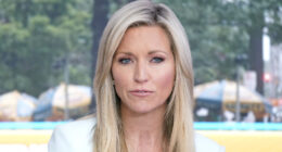 Ainsley Earhardt's Slip-Up Talking About Her Divorce From Will Proctor Says So Much