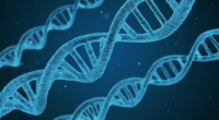 Bioethicists Want to Infect People With Disease That Makes You Allergic to Meat