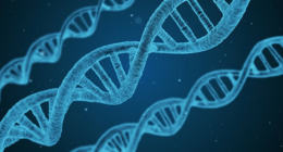 Bioethicists Want to Infect People With Disease That Makes You Allergic to Meat