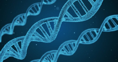 Bioethicists Want to Infect People With Disease That Makes You Allergic to Meat
