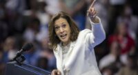 Desperately Seeking a Pro-Growth Democrat