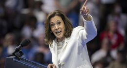 Desperately Seeking a Pro-Growth Democrat