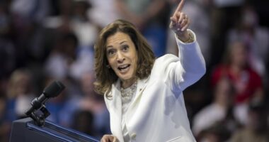 Desperately Seeking a Pro-Growth Democrat