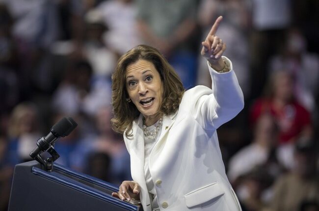 Desperately Seeking a Pro-Growth Democrat