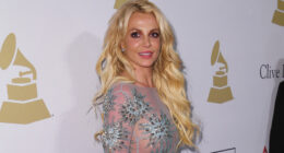 Did Britney Spears Move To Mexico? The Sad Reason She's Over Life In California