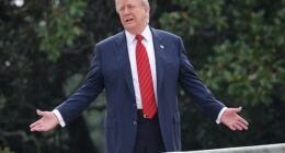 Several FBI agents were targeted for not showing personal loyalty to President Donald Trump