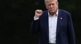 Donald Trump is Winning His Battle With Left-Wing Institutions, and It's Glorious to Watch