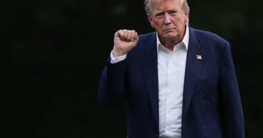 Donald Trump is Winning His Battle With Left-Wing Institutions, and It's Glorious to Watch