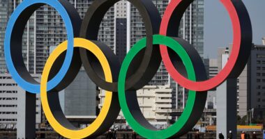 Double Olympic gold medal winner gets engaged – three years after coming out as gay