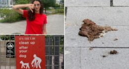 Fed-up neighbors launch online shame campaign for pet owners turning LIC into ‘dog s–t capital of New York’