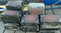 Florida man finds 50 pounds of cocaine floating in ocean — and shockingly turns it in: report