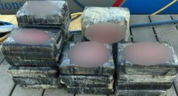 Florida man finds 50 pounds of cocaine floating in ocean — and shockingly turns it in: report
