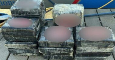 Florida man finds 50 pounds of cocaine floating in ocean — and shockingly turns it in: report