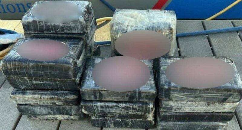 Florida man finds 50 pounds of cocaine floating in ocean — and shockingly turns it in: report