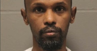 Grotesque: Islamic Community Center Begs for Mercy as Man Gets Sentenced for CSA of 12-Year-Old