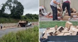 Hot dogs spill across Pennsylvania interstate after tractor trailer crash to clog commute for steamed motorists