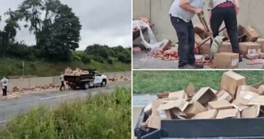 Hot dogs spill across Pennsylvania interstate after tractor trailer crash to clog commute for steamed motorists