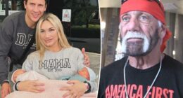 Hulk Hogan had ‘no interest’ in meeting daughter Brooke’s twins before his death
