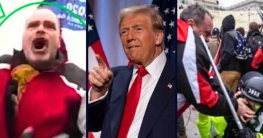 Jan. 6 rioter gets Trump pardon thrown in face by judge, loses FOIA bid for records on cop he violently assaulted