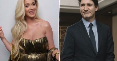 Katy Perry and Justin Trudeau share ‘a lot in common,’ source reveals: They had an ‘instant connection’