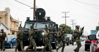 ICE storm troopers in a so-called Removal Operations in Los Angeles in June. (Wikimedia Commons)