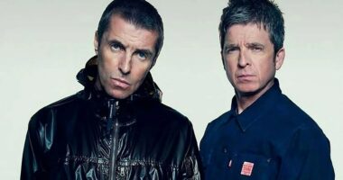 Liam & Noel Gallagher reveal their shock in emotional statement after fan plunged to his death during Wembley gig
