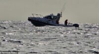 Authorities are still searching for a man and woman in their 70s and 60s after a light aircraft vanished (above, a Tasmania Police boat)