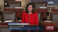 New Hampshire Bans Puberty Blockers for ‘Trans’ Minors
