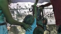 Britney Taryn said her son Leo, 6, was ambushed by an octopus on July 14 at the San Antonio Aquarium, where visitors are allowed to interact with various animals