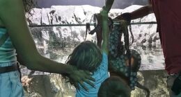 Britney Taryn said her son Leo, 6, was ambushed by an octopus on July 14 at the San Antonio Aquarium, where visitors are allowed to interact with various animals