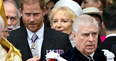 Prince Harry Punched Prince Andrew, New Book Claims, and It’s Not the First Time Royal Family Conflicts Have Gotten Physical