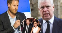 Prince Harry denies getting into bloody brawl with Prince Andrew over comments about Meghan Markle