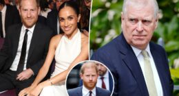 Prince Harry responds to claims he had bloody brawl with Prince Andrew over Meghan Markle remarks
